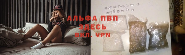 индика Аркадак