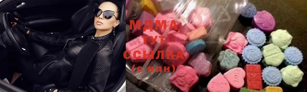 индика Аркадак