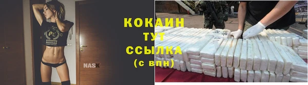стаф Сафоново