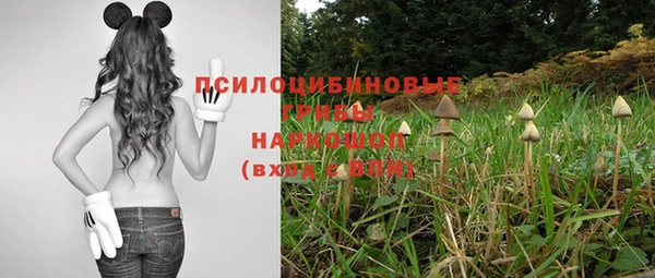 индика Аркадак