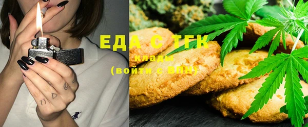 индика Аркадак