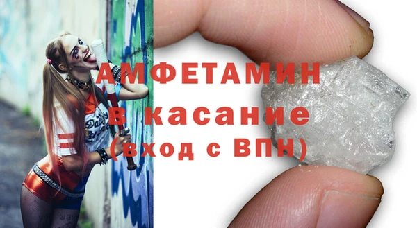 индика Аркадак