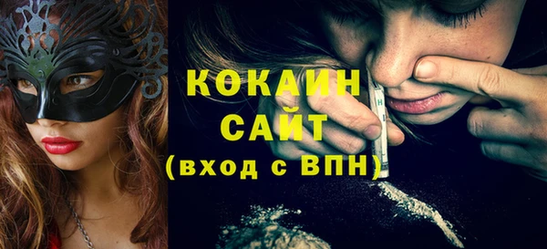индика Аркадак