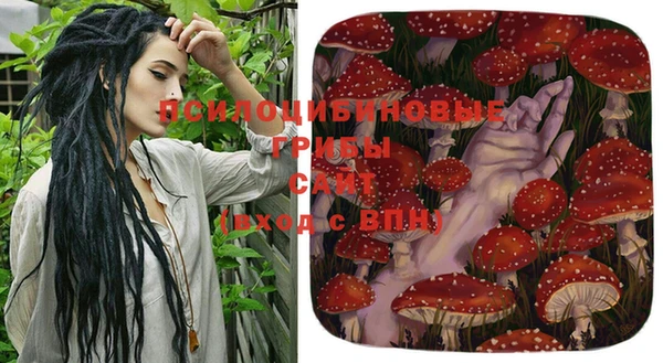 индика Аркадак