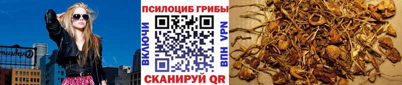 цены   Камбарка  Галлюциногенные грибы мицелий 